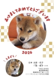 ペットのサンプル画像