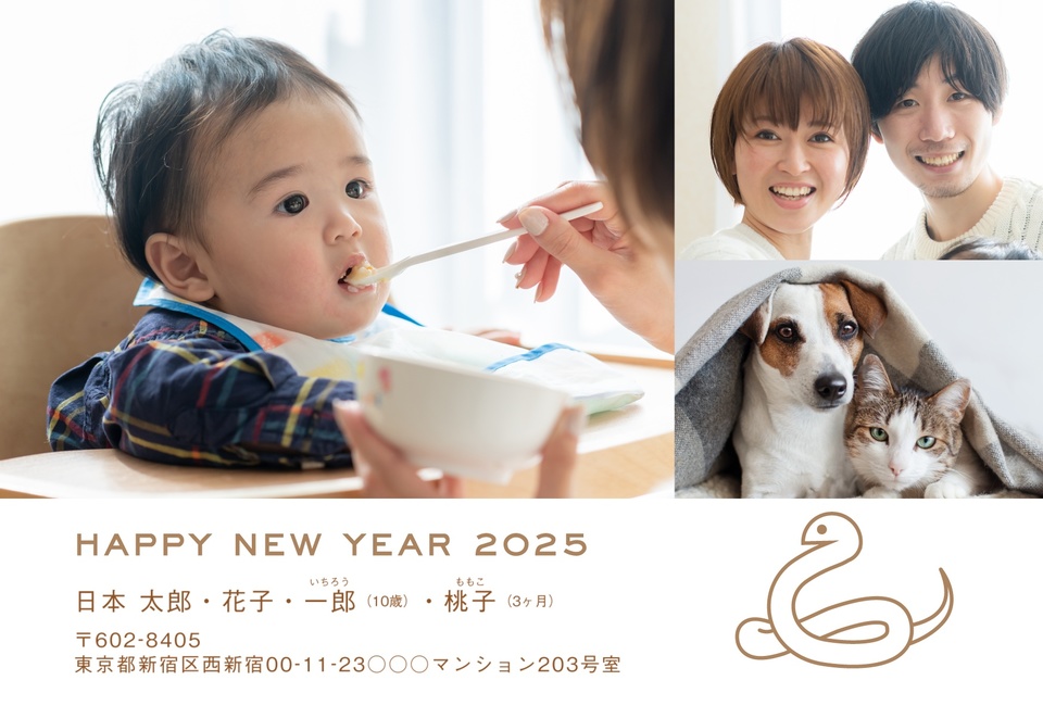 年賀状デザイン NDK067(干支(巳)・写真メイン・しまうま定番・シンプル・横向き)