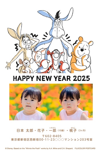 年賀状デザイン NPD007 (・縦向き) | 2025年巳年の年賀状印刷 年賀状デザイン NPD007 (・縦向き) | 2025年巳年の年賀状印刷