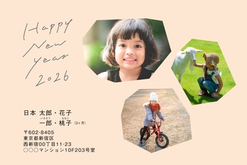 年賀状デザイン NDK059