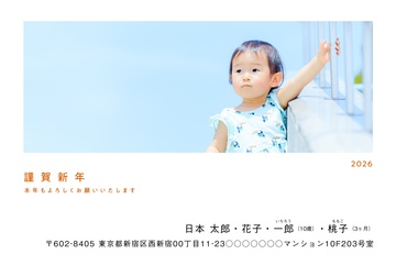 年賀状デザイン NDN100