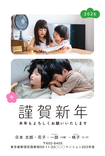 年賀状デザイン NDN113