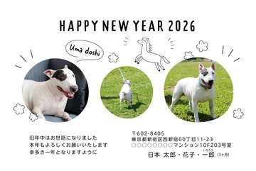 年賀状デザイン NKH051