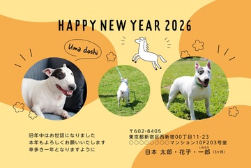 年賀状デザイン NKH051