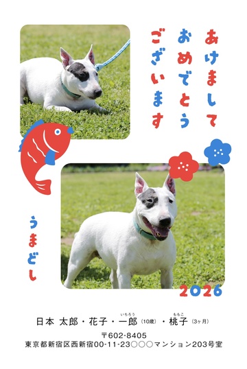 年賀状デザイン NKK067