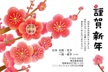 年賀状デザイン NLY007