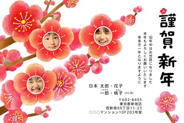 年賀状デザイン NLY007