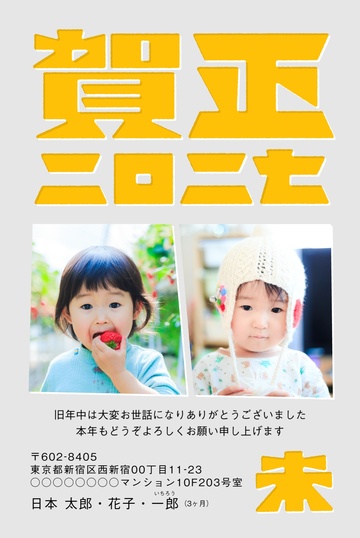 年賀状デザイン NDD013