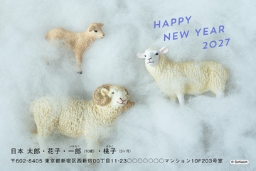年賀状デザイン NPC005